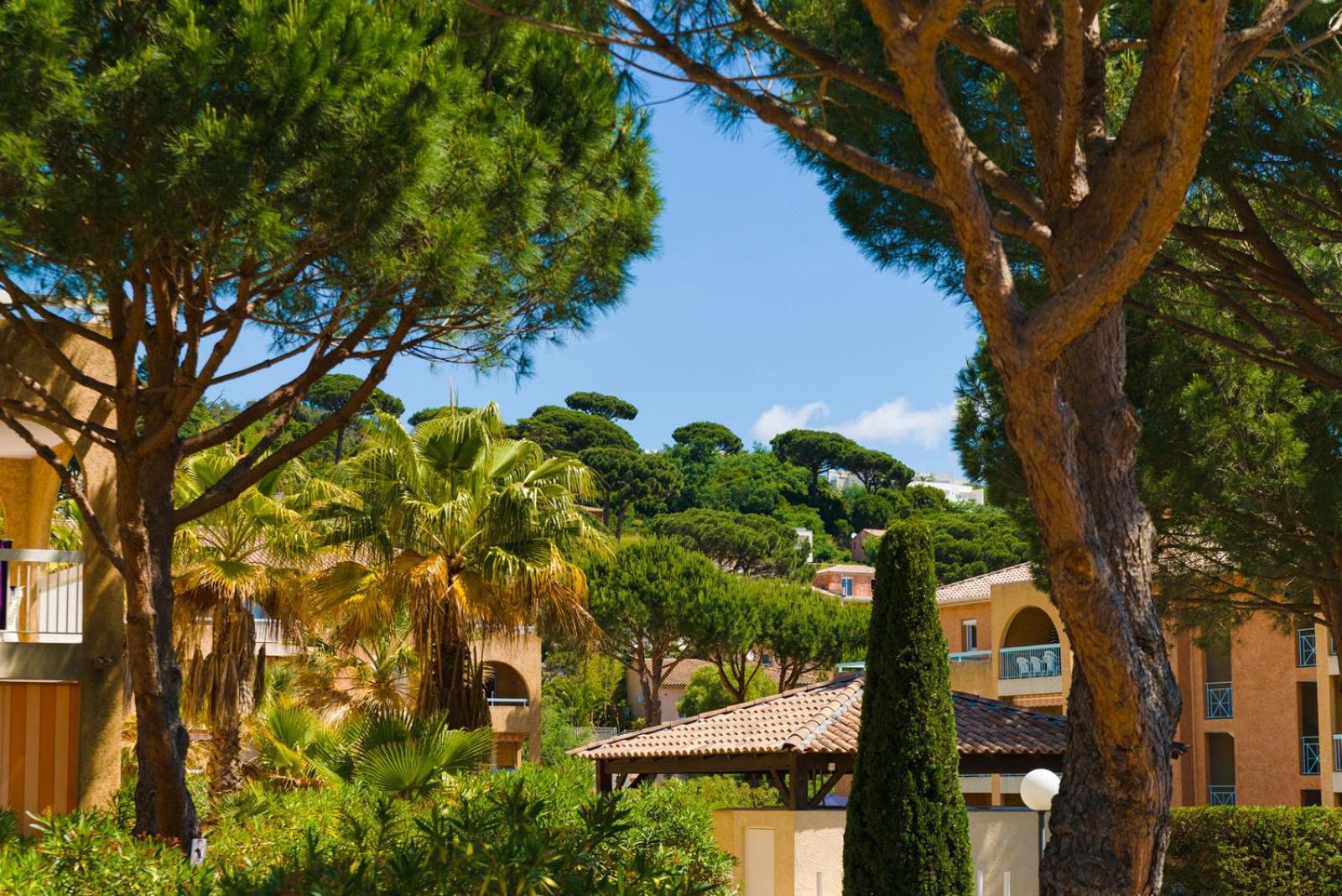 Appartement Residence Santa Barbara Avec Piscine Et A 750M De La Plage Cavalaire-sur-Mer Eksteriør billede